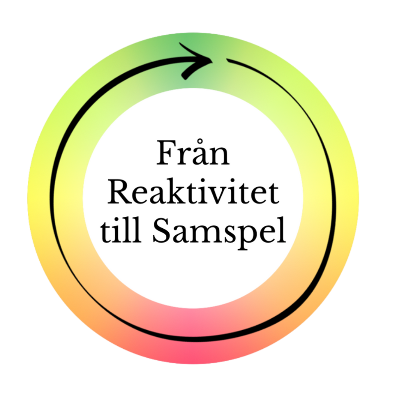 PRIVAT PAKET | Grundkurs (Steg 1) | Från reaktivitet till samspel