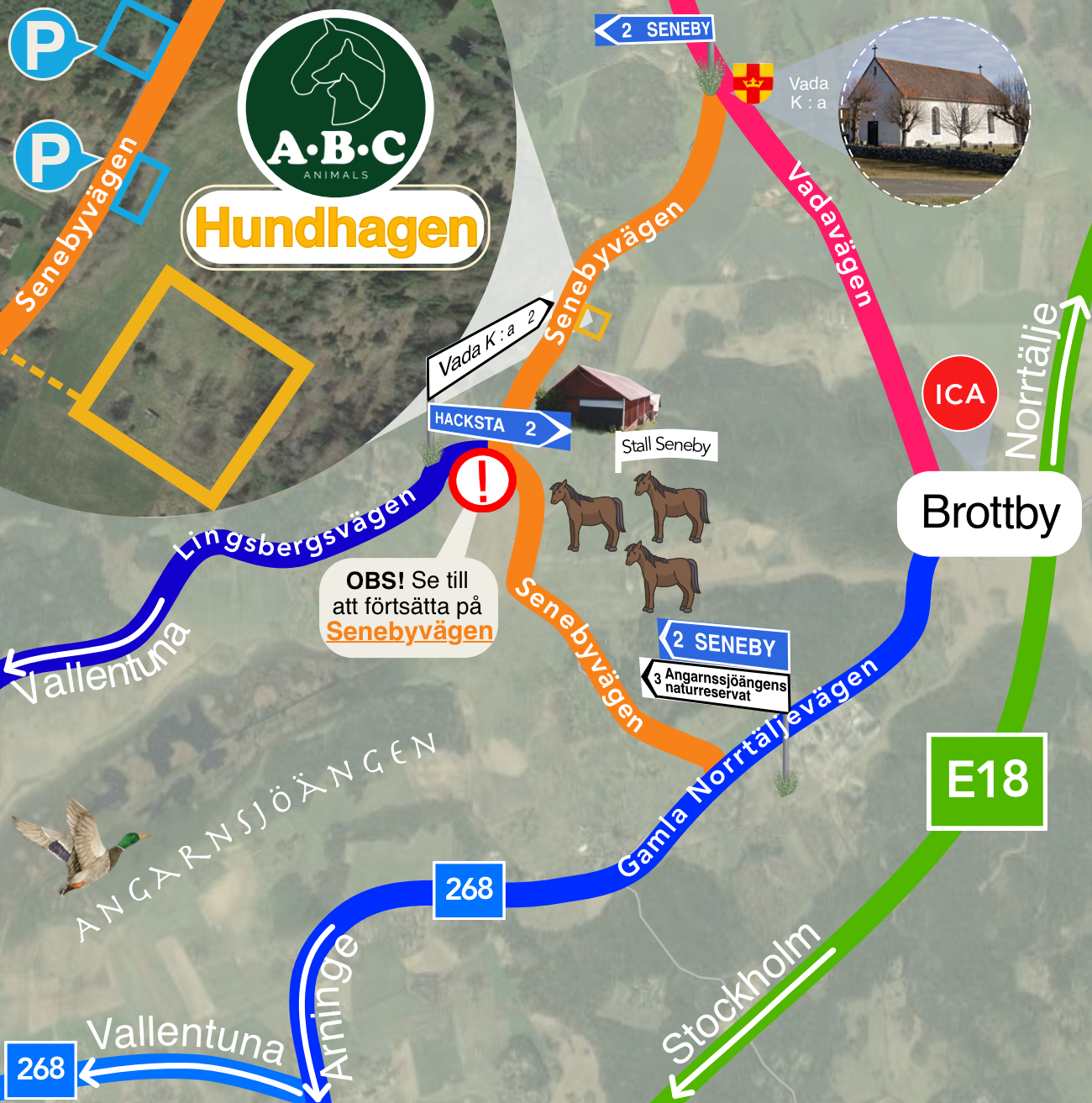 Hundhagen | Hyra Hundrastgård: Privat Hundpark Uthyrning, Stockholm | ABC Animals