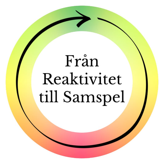 FRTS Feedback Samtal